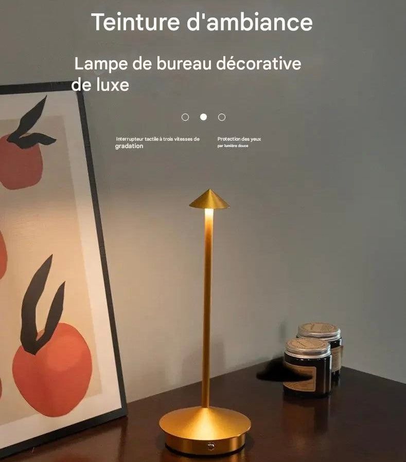 Luminaire rechargeable diffusion bidirectionnelle