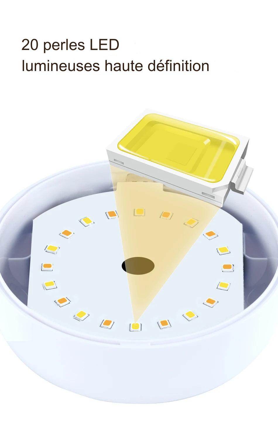 Night Led : Lampe de table LED avec capteur tactile, 3 couleurs réglables, rechargeable par USB, lampe de chevet portable, lampe de bureau pour enfant, cadeau pour bébé - myledly