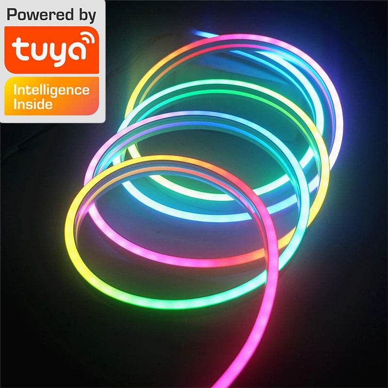 TUYA LED : Bande lumineuse LED TUYA Wifi 12V RGBIC, corde lumineuse avec synchronisation de musique, pour salle de jeu, décoration Alexa 10M - myledly