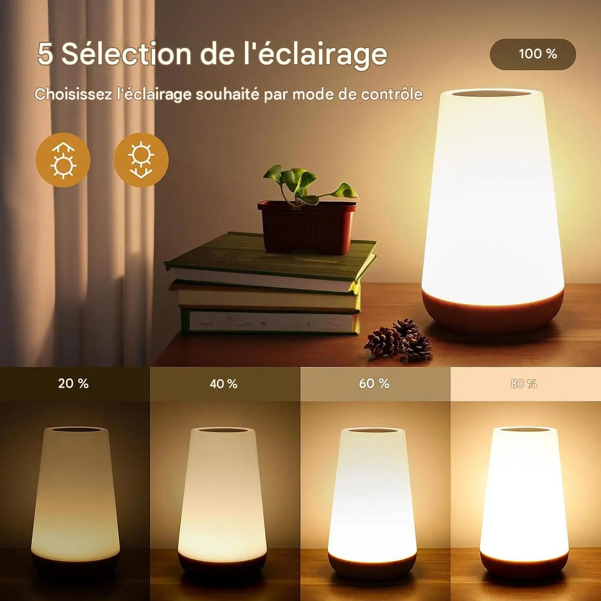 Veilleuse 13 Couleurs