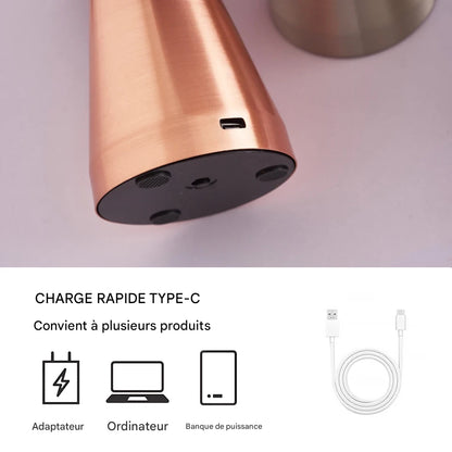 Lampe champignon métal plaqué - LED rechargeable tactile élégant