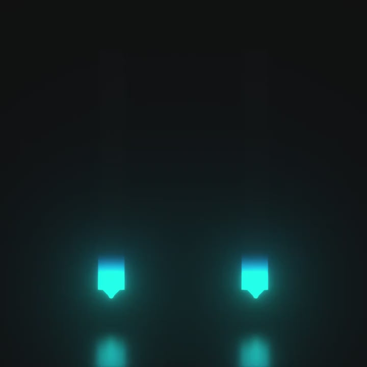 Charger la vidéo : 
